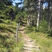 Schöner Wanderweg zur Alp Schlund
