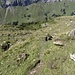 Im Abstieg ins Üschenental.<br /><br /><br />