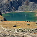 lago Languard