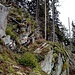 Beim Erreichen der Waldgrenze konnte ich auch gleich eine Markierung finden und der Steig war gut erkennbar.
