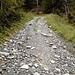 Ein Anstieg und ein kleiner Umweg über die ehemalige Skipiste ist die Folge. Sie wird im Winter gerne von Tourengehern wegen der Lawinensicherheit genutzt.<br />