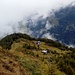 Die Wegführung ist steil, aber so gewinnt man auch schnell an Höhe. Rückblick auf die Häusleralm und Aussichtsplattform.