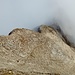 Der Rückblick auf den Zustiegsweg zeigt, dass ich richtig Glück hatte mit meiner Gipfelankunft, die tolle Aussicht zur Ankogelgruppe ist schon wieder vernebelt.
