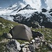 Camp platz auf halbem Weg zwischen Glecksteinhütte und Chrinnenhorn
