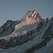 nochmals das Schreckhorn im letzten Licht