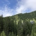 Unterwegs zwischen Planina Jezerca und Kriška planina - Blick aus dem Wald zum Krvavec (Gipfelbereich rechts). In Bildmitte lugen einige Gebäude auf der Alm Kriška planina über die Baumkronen.