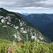 Krvavec - Ausblick. Links dürfte die etwa nordöstlich gelegene Košutna (1.974 m) zu sehen sein.