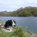 Lago Ritóm<br />Nora geniesst die Aussicht<br />Im Hintergrund;<br />Schenadüi 2747m - Pizzo de LL'Uorno 2663m - Poncione Pro do Rodùc 2507m - Uomo d'Arbione 2414m