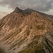 Nebelhorn vom geißfuss