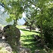 Caurga