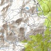 Karte mit der begangenen Route (Kartengrundlage: opentopomap.org)