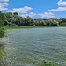 Der Ammersee ist zwar oft dicht besiedelt, aber der Uferstreifen ist dann doch oft recht naturbelassen