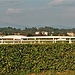 Il panorama dall'Ippodromo di Varese.