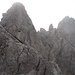 Die Leiter im Klettersteig Hohe Gänge
