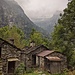 Sullo sfondo il vallone degli alpi Ratei