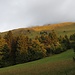 La Prada ... sanftes Wiesengelänge, ich erhasche einen Moment mit Sonnenstrahl.