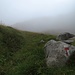 Spätestens jetzt heißt es "Augen zu und durch" - durch den Nebel.