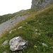 Einer der wenigen "Licht"blicke, die mir heute noch verbleiben. Der Steig führt im Aufstiegssinne an der rechten Flanke in das Val Dore hinein.