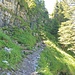 Abstieg zur Älggi-Alp