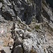 Abstieg durch den leichten Klettersteig von der  Mayrbergscharte