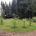 eine weitere einladende Hütte - beim Chällerhölzli