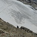 Über diesen kurzen Gletscherarm des Lysgletschers müssen wir noch rüber. / Su questo breve braccio del ghiacciaio del Lys dobbiamo ancora attraversare.