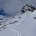 Powder