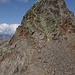Blick vom weiteren Vorgipfel auf den Gipfelaufbau. Gelb unsere Route, grün die weiteren im Internet veröffentlichten Anstiege