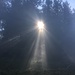 Juste au dessus du stratus - l'automne est en marche 