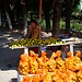 Wieder unterwegs: die fünfte und letzte Etappe führt zurück nach Suzhou. Unterwegs werden Orangen und Mandarinen verkauft.