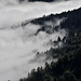 Les nuages s'accrochent à la ligne de niveau des 1'000m