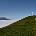 Buochserhorn