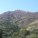<b>La Cima del Monte (516 m) vista da est.</b>