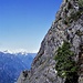 Le pendici del Sassarut a picco sulla Val d'Ossola.