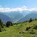 Olperer und Konsorten - Blickfang in den Zillertaler Alpen.
