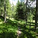 Abstieg zur Nösslachhütte.