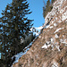 Rückblende: ruppiger Aufstieg mit (hier geschulterten) Ski von der Alp Haagge  (1439m)  zum Sattel 1636 (Foto vom 26.12.2008)