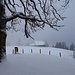 winterlich schöne Stimmung ...