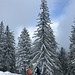 ... und erster Lichtblick beim beginnenden Rückmarsch