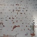 Tentative de reconstitution des fresques. Un puzzle 100.000 x 100.000...