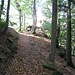 Den Aussichtsfelsen auf dem Jüngstberg kann man leicht von der oberen Seite her über eine Leiter besteigen (im Foto hinten vom hellen Licht etwas überblendet).