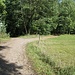 Im Tal zwischen Jüngstberg und Heidenberg kommt man ins Freie, bevor es dann (im Foto geradeaus) wieder in den Wald geht.