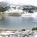 Limosee