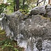 Naturmauer