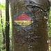 Da schlägt das Herz des Jura-Nostalgikers etwas höher.
