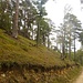 Einziges Highlight auf dem Weg nach Liesberg. Müsste man im Frühjahr/Sommer nochmals anschauen. Botanik. Eventuell Orchideen?