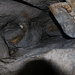 Kristalline Kalkablagerungen in hintersten Teil vom oderen Höhlenteil des Bruderlochs.