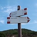 <b>Arrivo al valico dopo 1 h 05 min dalla partenza. Qui comincia l’anello per mtb chiamato “Serra”, che i promotori dell’Elba Gravity Park classificano con i seguenti requisiti:<br />Tempo di percorrenza: 1 h<br />Difficoltà: medio; consigliato a biker con buone capacità di guida, soprattutto esploratori che non rinnegano salite e piccole parti a spinta; percorso ad anello.<br />Il tracciato, corrispondente al sentiero 202, è percorso anche dagli escursionisti a piedi. </b><br />