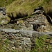 Zerfallene Gebäude im Valle della Camana.