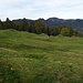 Die Weide mit den markanten Bergschlipf-Hügeli
